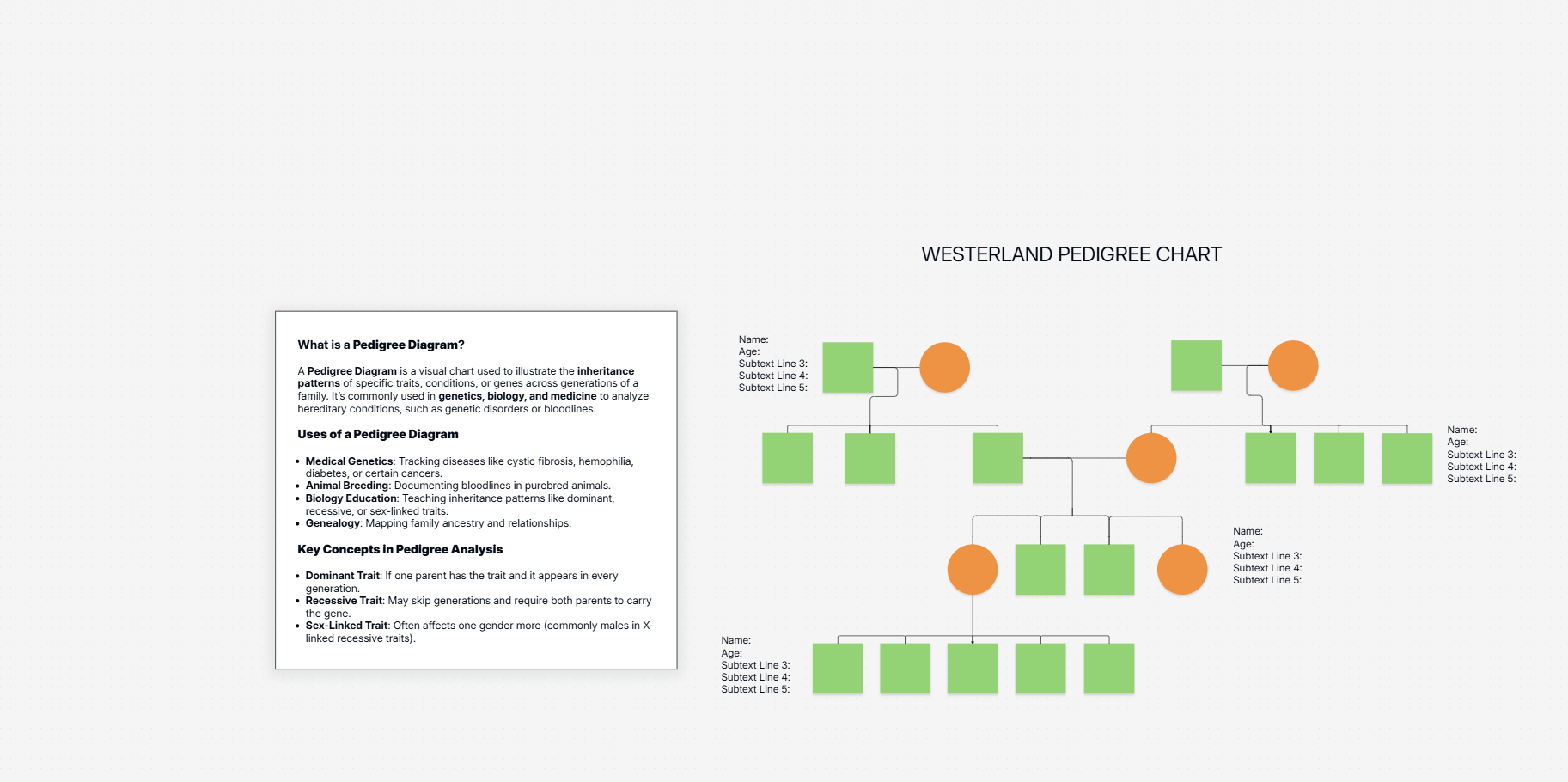Genogram / pedigree diagram template on the Cloudairy canvas